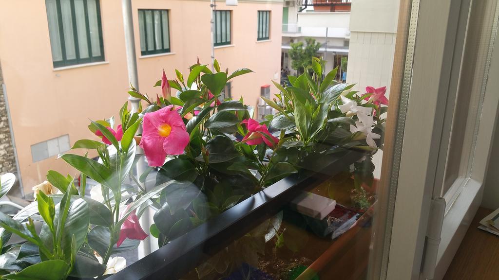 B&B Veru Sorrento Ngoại thất bức ảnh